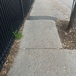 Sidewalk Repair at 142 Harvard St