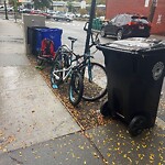 Trash/Recycling at 42.34 N 71.14 W
