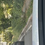 Sidewalk Obstruction at 459 Heath St, Chestnut Hill