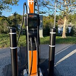 Other at 60 Hammond Pond Pkwy, Chestnut Hill