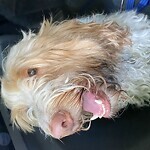 Other at Walnut Hill Rd, Chestnut Hill