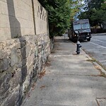 Sidewalk Obstruction at 5 Wellington Terrace