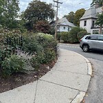 Other at 42.339N 71.113W