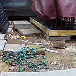 Rodent Issues at 15 Kendall St
