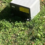 Trash/Recycling at Pearl St