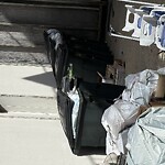 Rodent Issues at 3 Harvard Ave