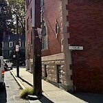 Damaged Sign at 4 Park St