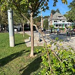 Park Playground at 42.33 N 71.12 W