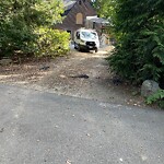 Other at 50 Sargent Crossway