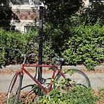 Abandoned Bike at 15 Gibbs St