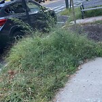 Other at 1463–1487 Beacon St