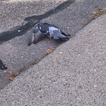 Other at 10 Sewall Ave