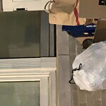 Rodent Issues at 1578 Beacon St