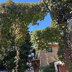 Other at 3 Summit Ave