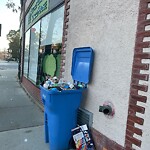 Trash/Recycling at 42.335N 71.123W
