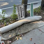 Trash/Recycling at 30 Winchester St