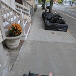 Trash/Recycling at 276 Cypress St