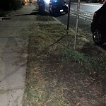 Trash/Recycling at 1491 Beacon St