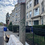 Graffiti at 116 Pleasant St