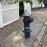 Graffiti at 23 Davis Ave