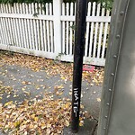 Graffiti at 86–98 White Pl