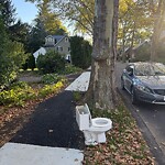 Trash/Recycling at 14 Lowell Rd