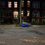 Trash/Recycling at 18 Strathmore Rd