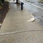 Trash/Recycling at 235 Cypress St