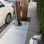Sidewalk Obstruction at 86 Saint Paul St