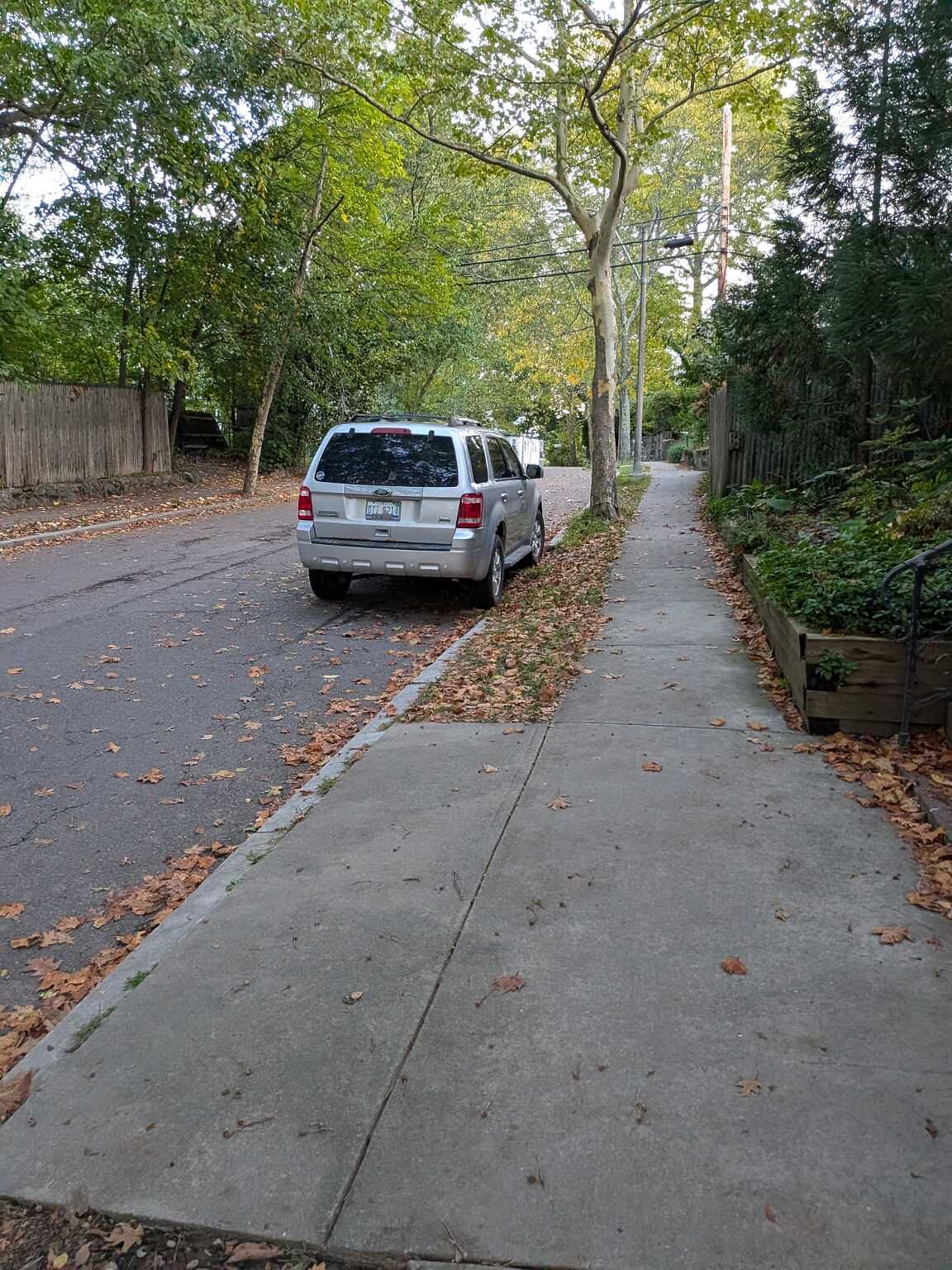 Photo_20251016_070536