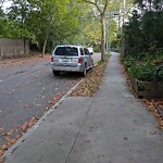 Parking Issues at 15 Oakland Rd