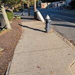 Trash/Recycling at Cypress St @ Kendall St