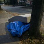 Trash/Recycling at 12 Strathmore Rd