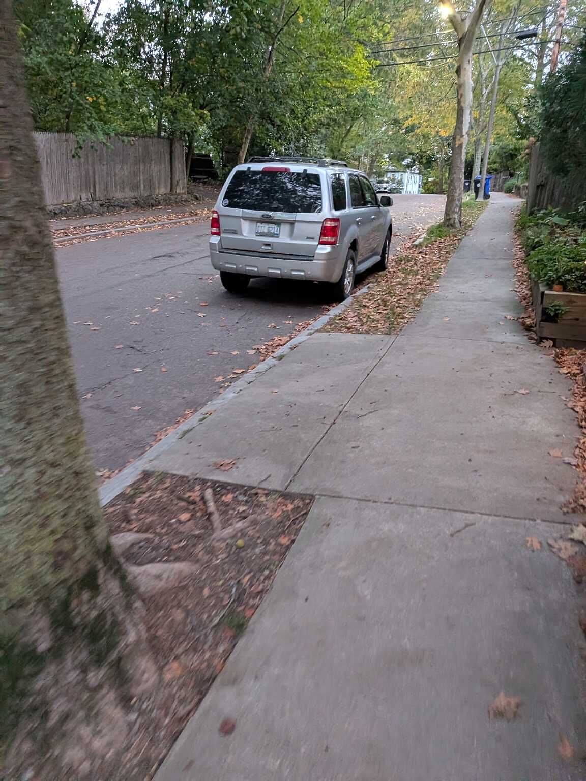 Photo_20251017_065641