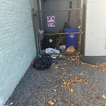 Trash/Recycling at 228 Cypress St