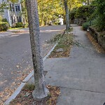 Sidewalk Obstruction at 19 Oakland Rd