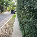 Sidewalk Obstruction at 42.33 N 71.12 W