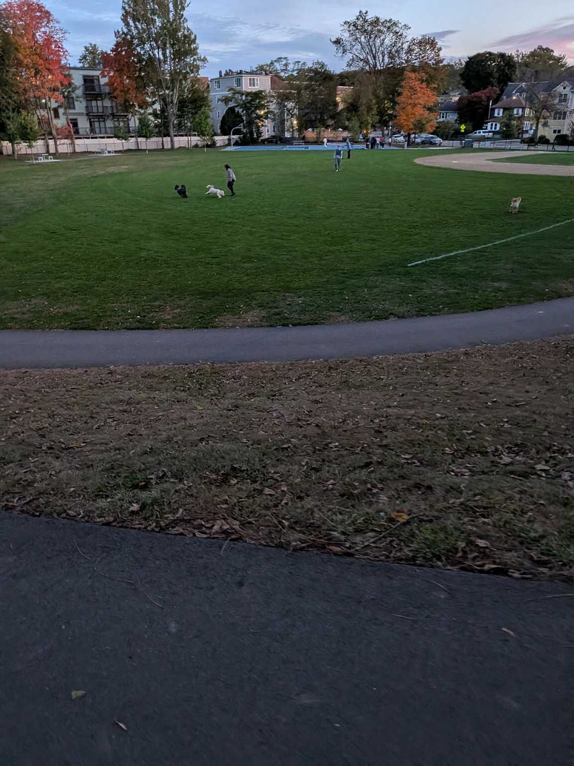 Photo_20251018_211043