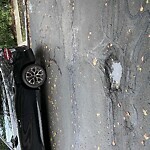 Pothole at 322 Mason Terr