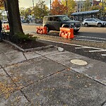 Parking Issues at 1615 Beacon St