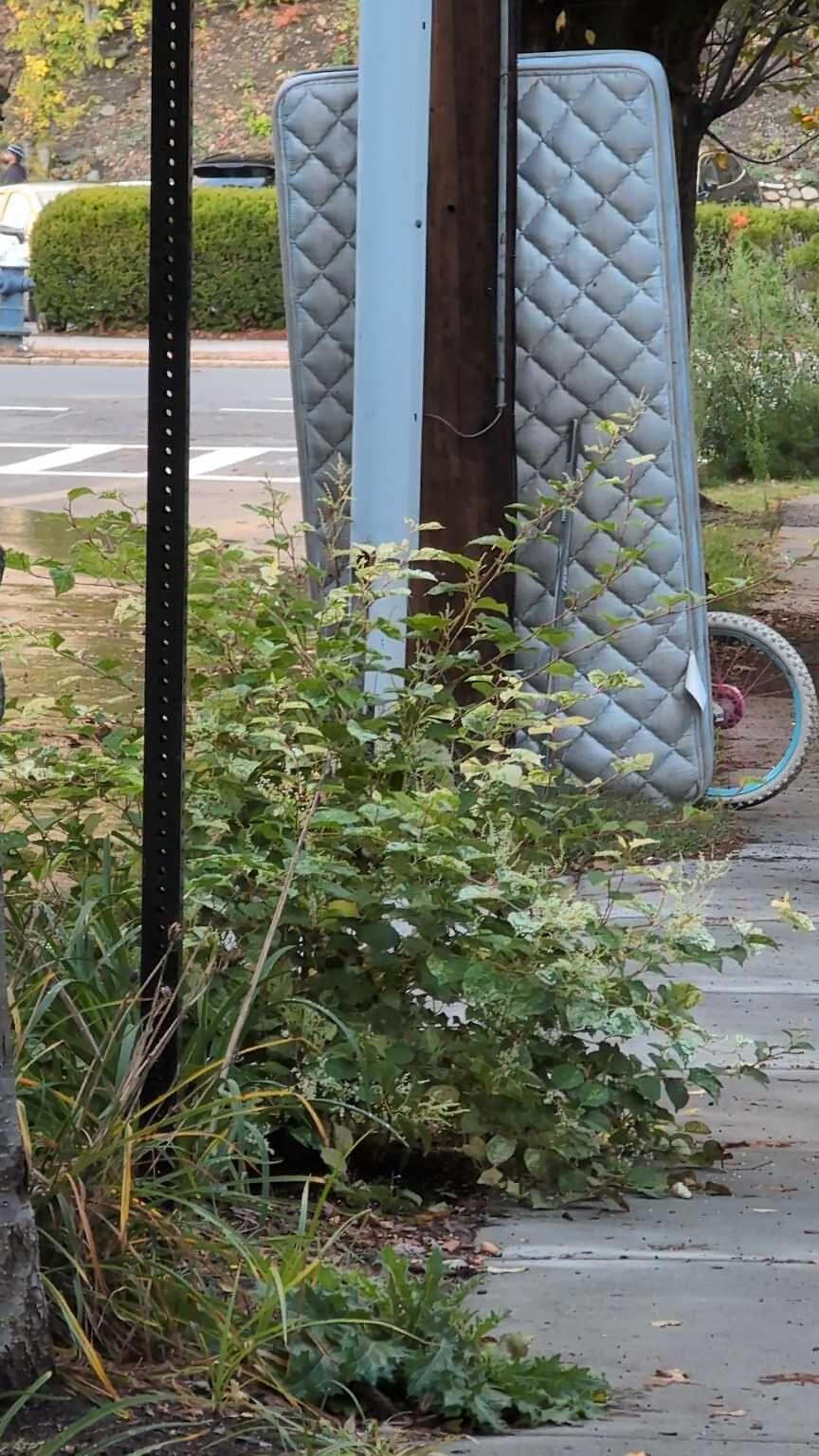 Photo_20251020_173251