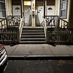 Rodent Issues at 123 Brook St