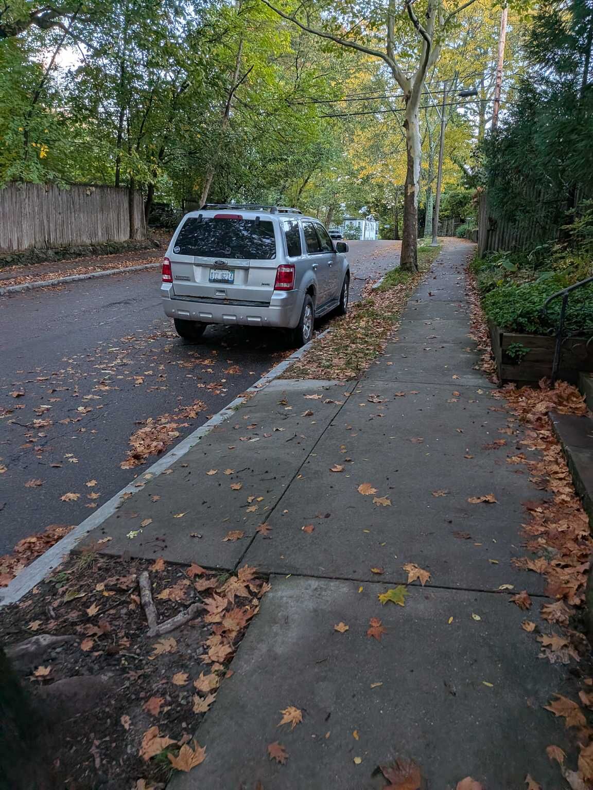 Photo_20251021_073453