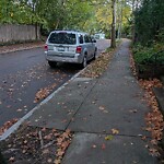 Parking Issues at 15 Oakland Rd