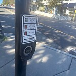 Traffic Signal at 829–861 Boylston St, Chestnut Hill