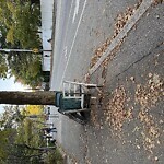 Trash/Recycling at 785 Washington St Trash/Recycling at 785 Washington St