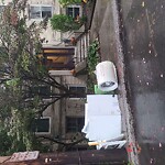 Trash/Recycling at 48 Kilsyth Rd