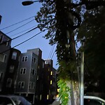 Streetlight at 1801 Beacon St