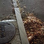 Water and Sewer at 79 Cypress St