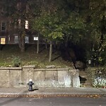 Rodent Issues at 15 Westbourne Terr, Brookline 02446